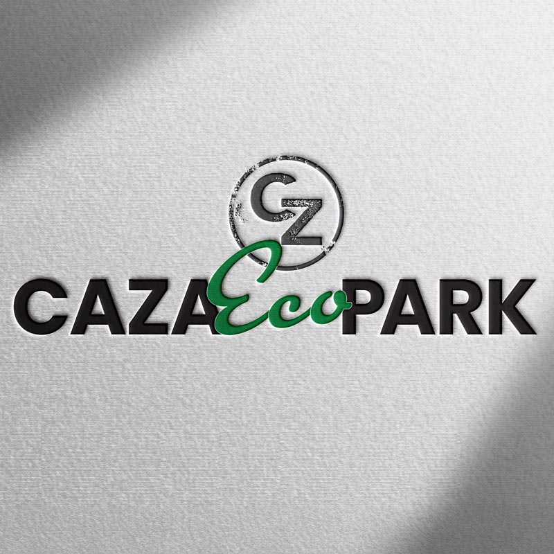 Professional logo design